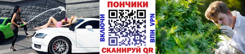 МАРИХУАНА THC 21%  Тайшет 